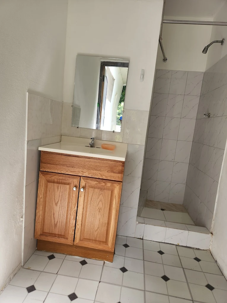 Bride Of The Broom cleaning project — interior detail